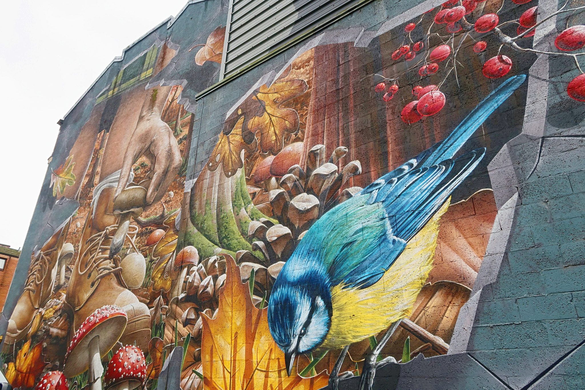 Street Art in Glasgow 