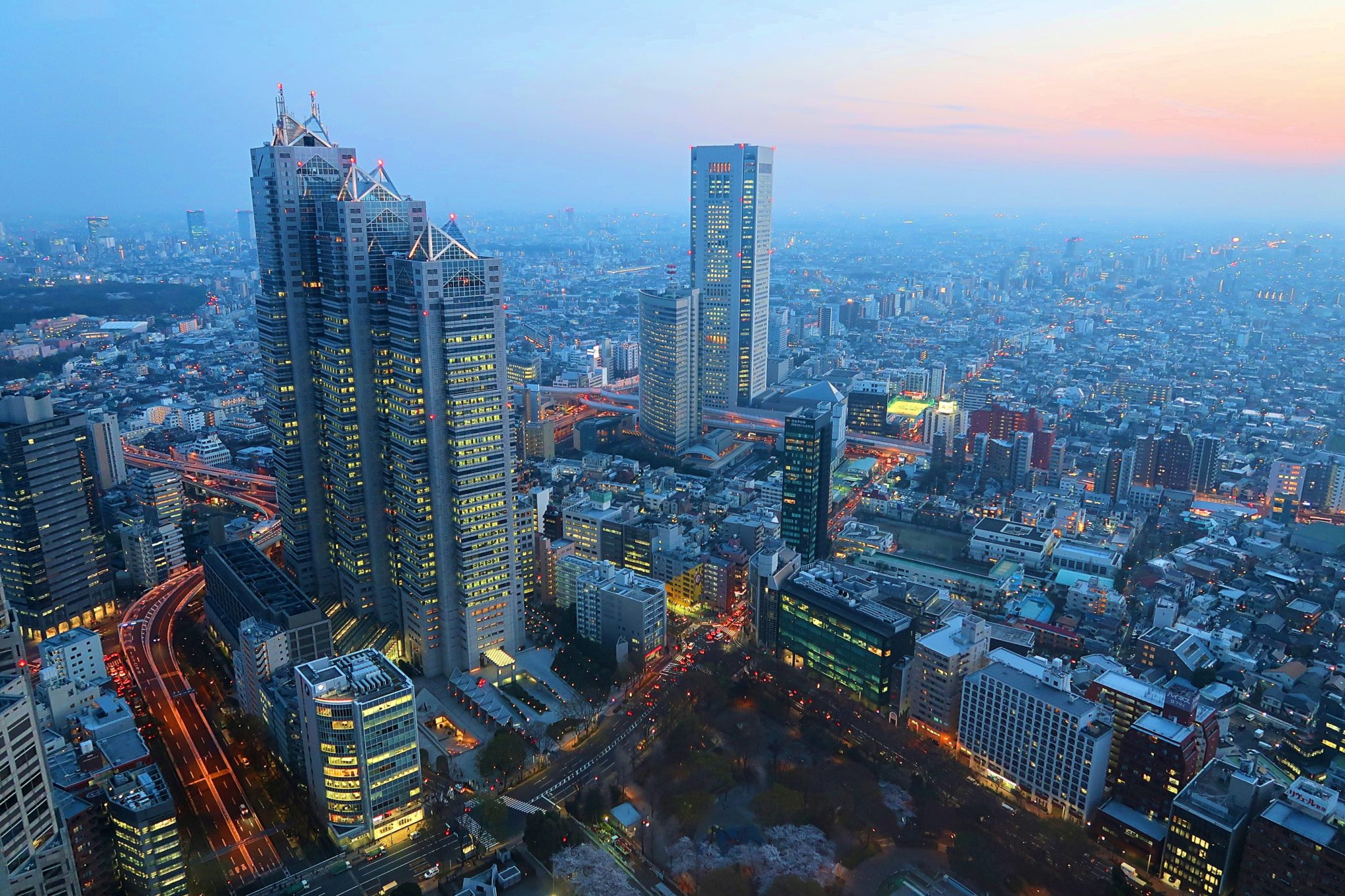 Tokyo - The Best Bits: View from the 45th Floor of the Government Metropolitan building 