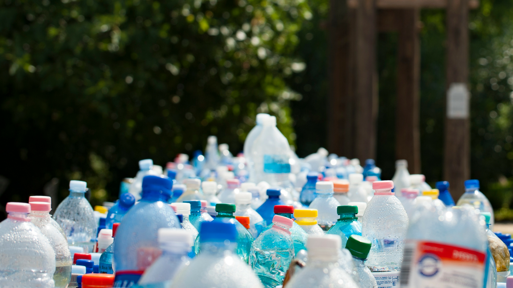 Plastic Bottles