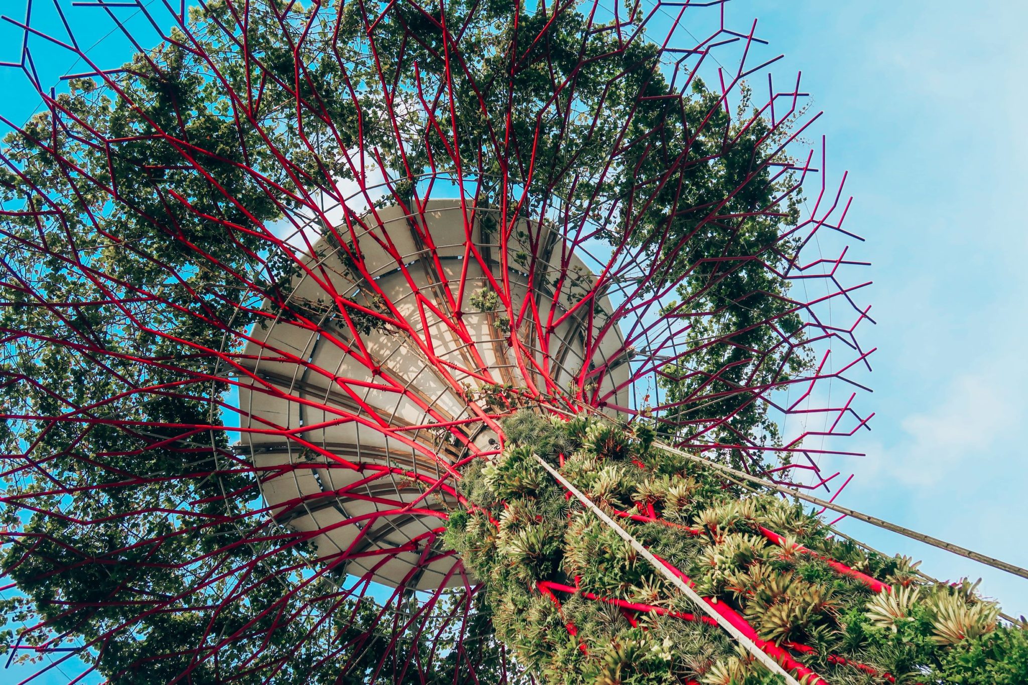 Visiting the Gardens by the Bay - beneath the Supertrees