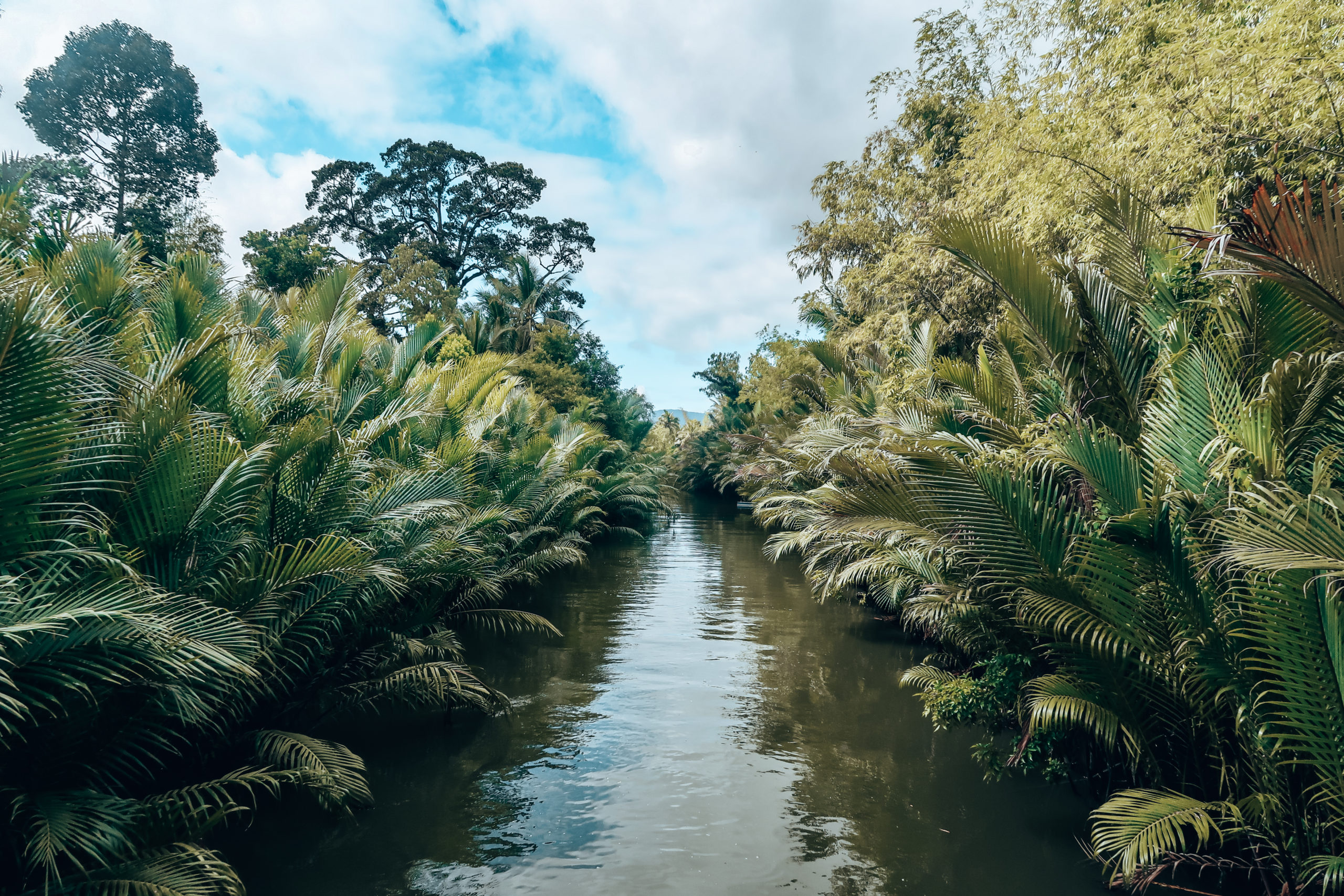 How to spend two weeks in Cambodia - mangroves of Kampot 