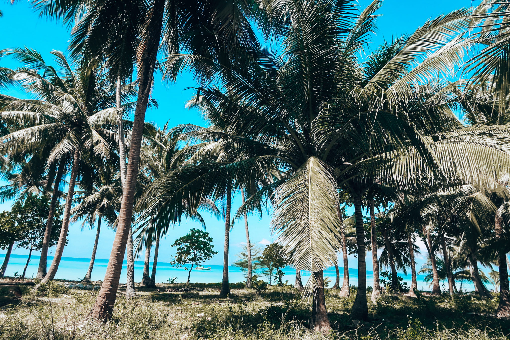 How to spend two weeks in Cambodia - Koh Rong Samloem 